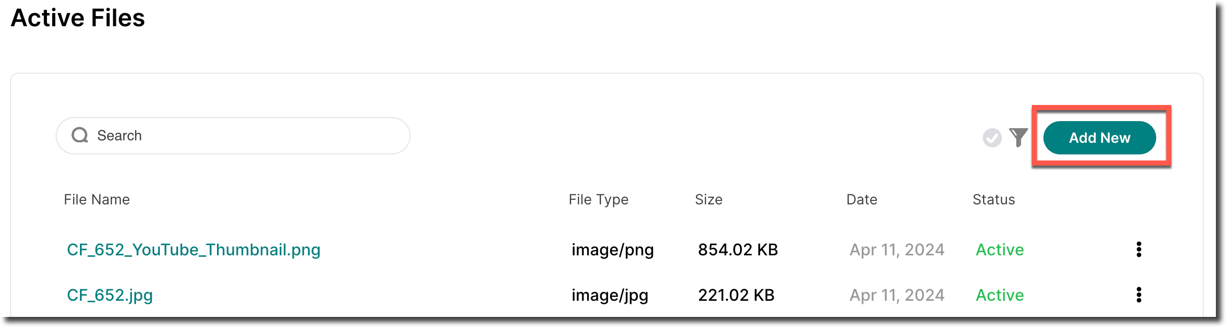 Active Files.png